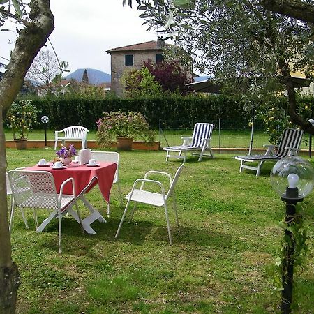 Triolivo B&B Lucca Bagian luar foto