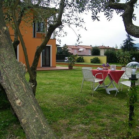 Triolivo B&B Lucca Bagian luar foto