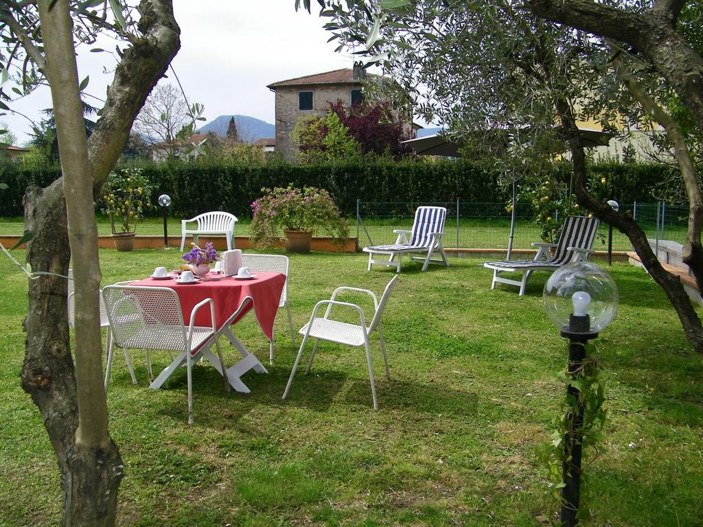 Triolivo B&B Lucca Bagian luar foto