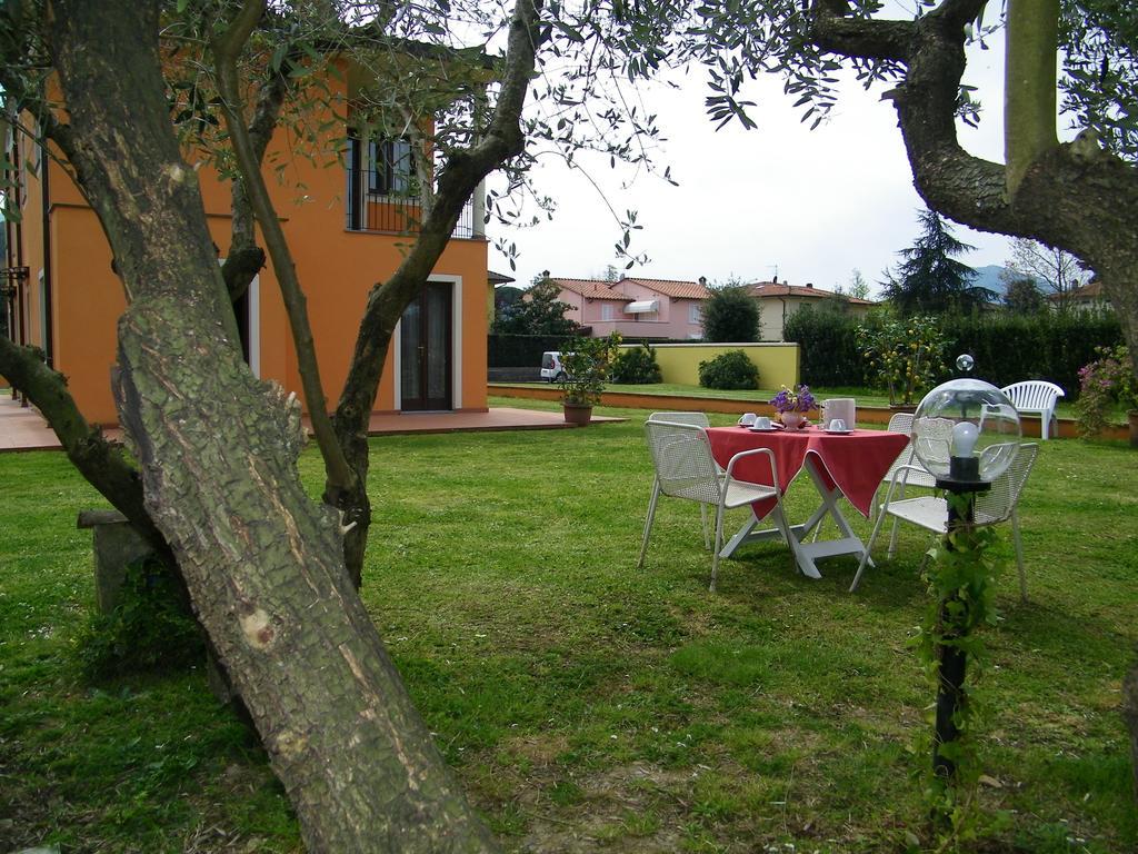 Triolivo B&B Lucca Bagian luar foto