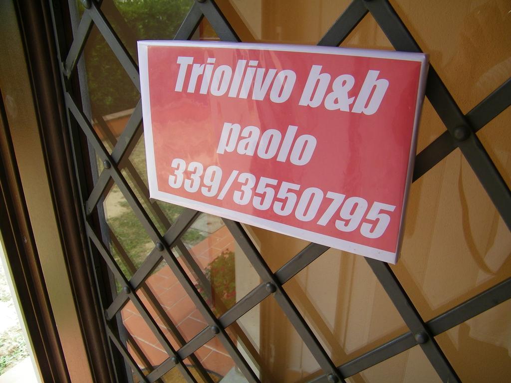 Triolivo B&B Lucca Bagian luar foto